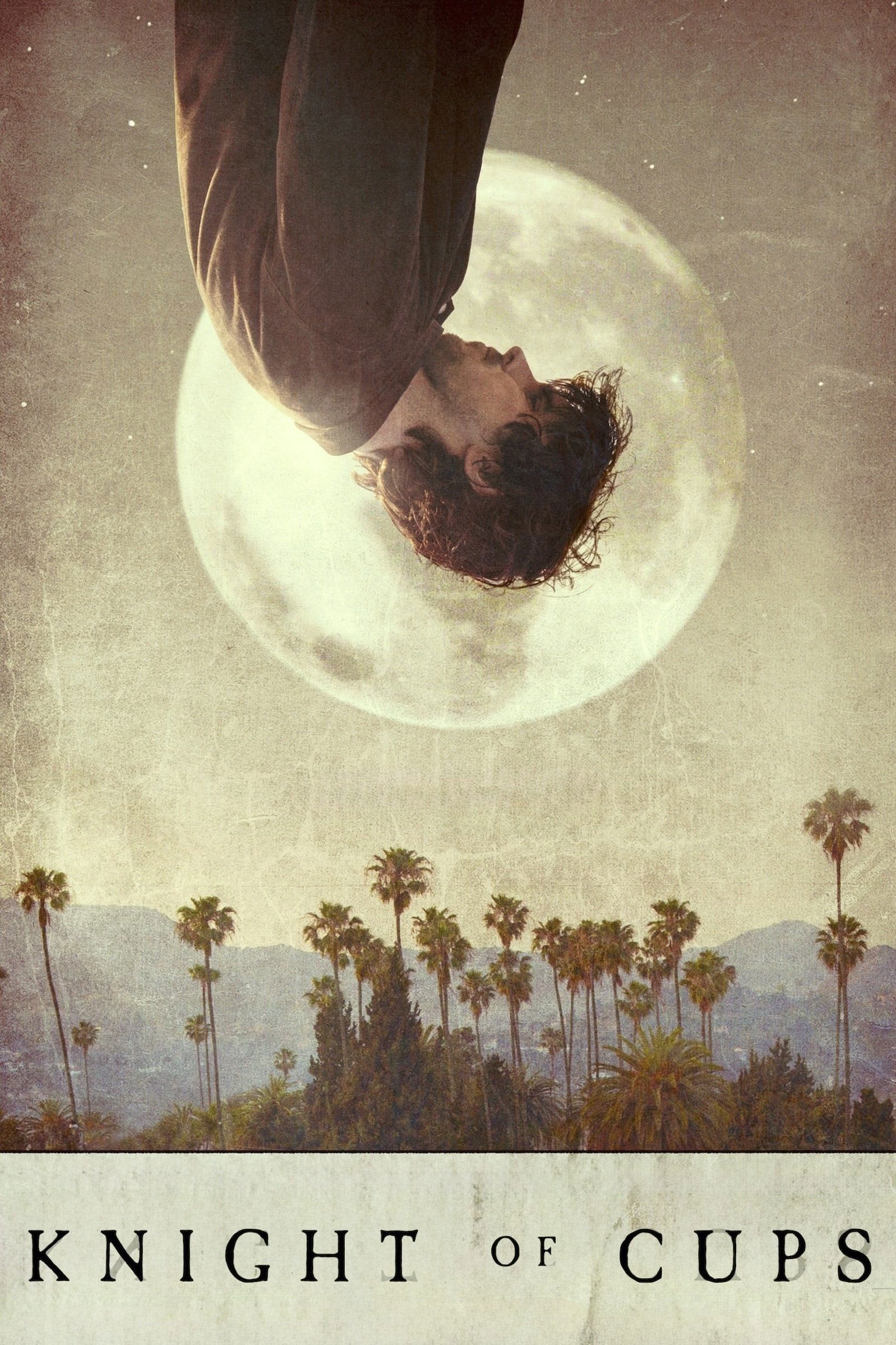 Knight of Cups
