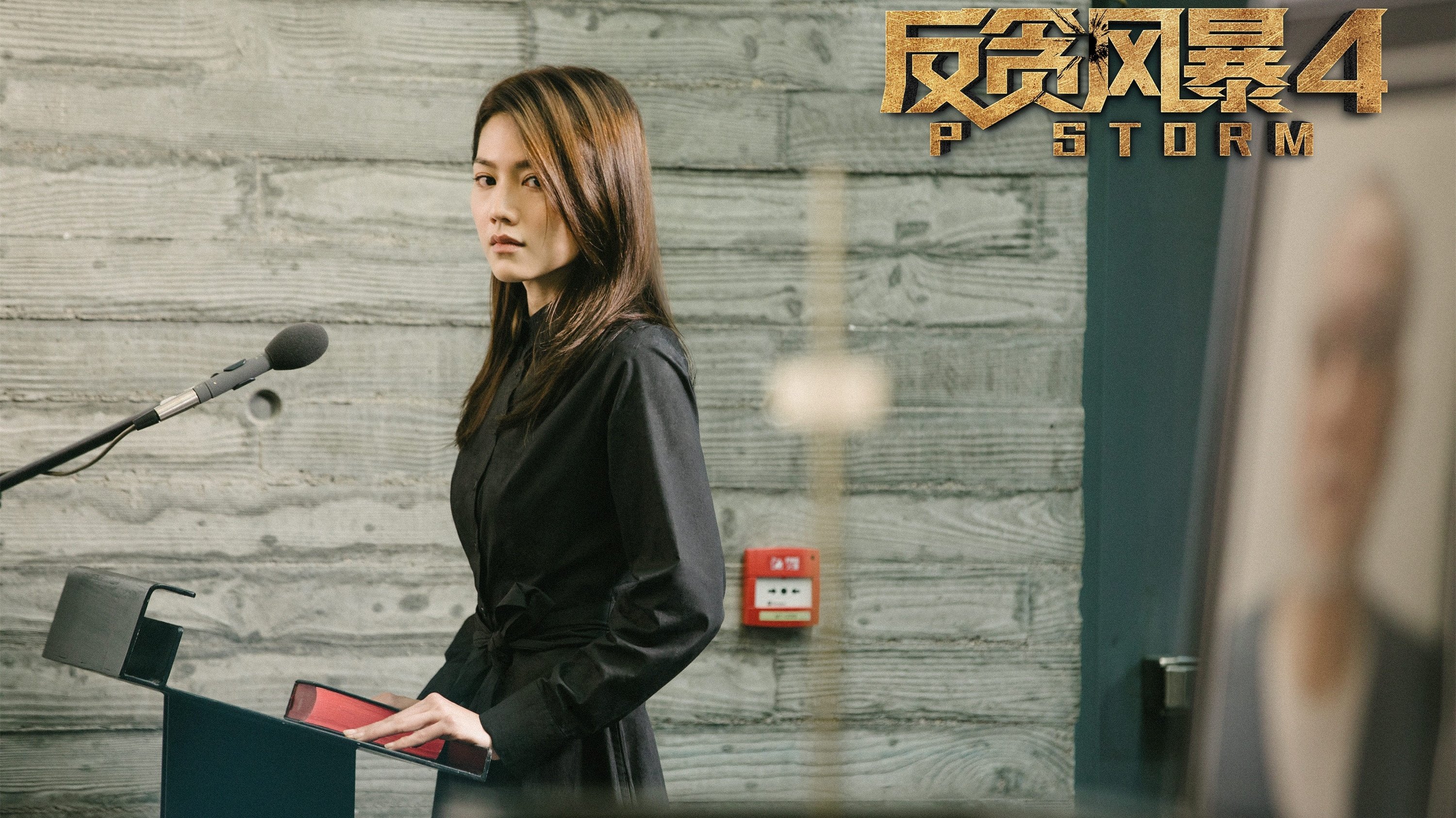 P feng bao (2019)