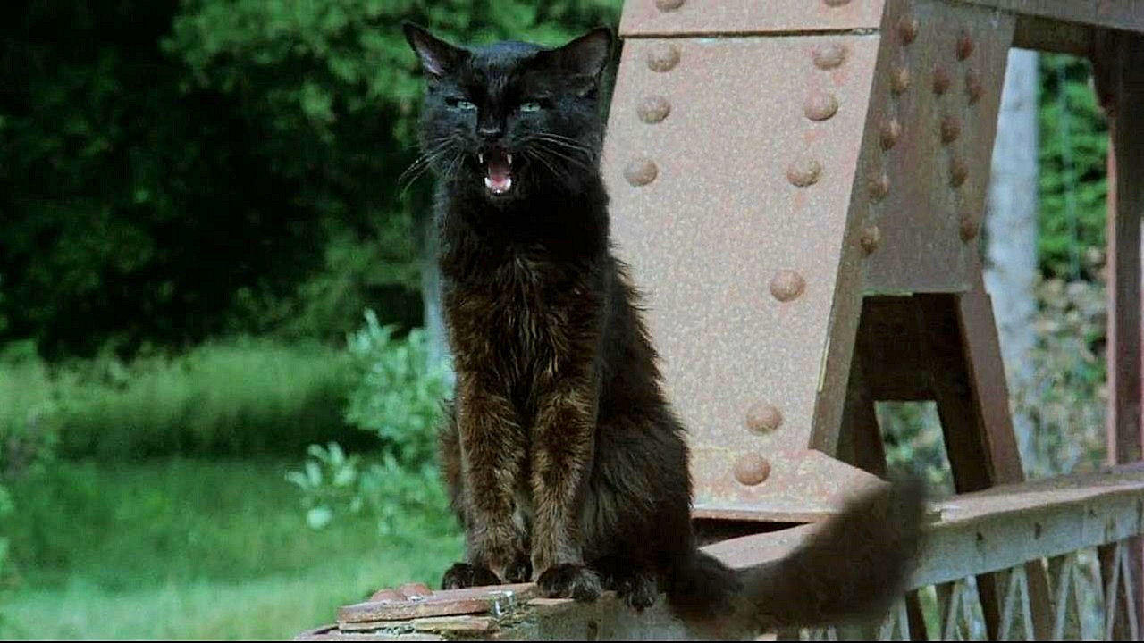 Cries in the Night (1980)