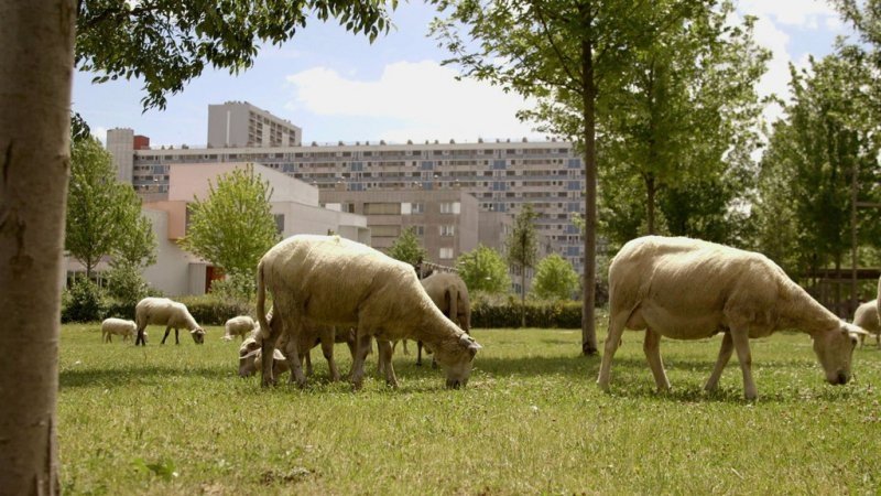 Le Monde En Face - Le champ des possibles