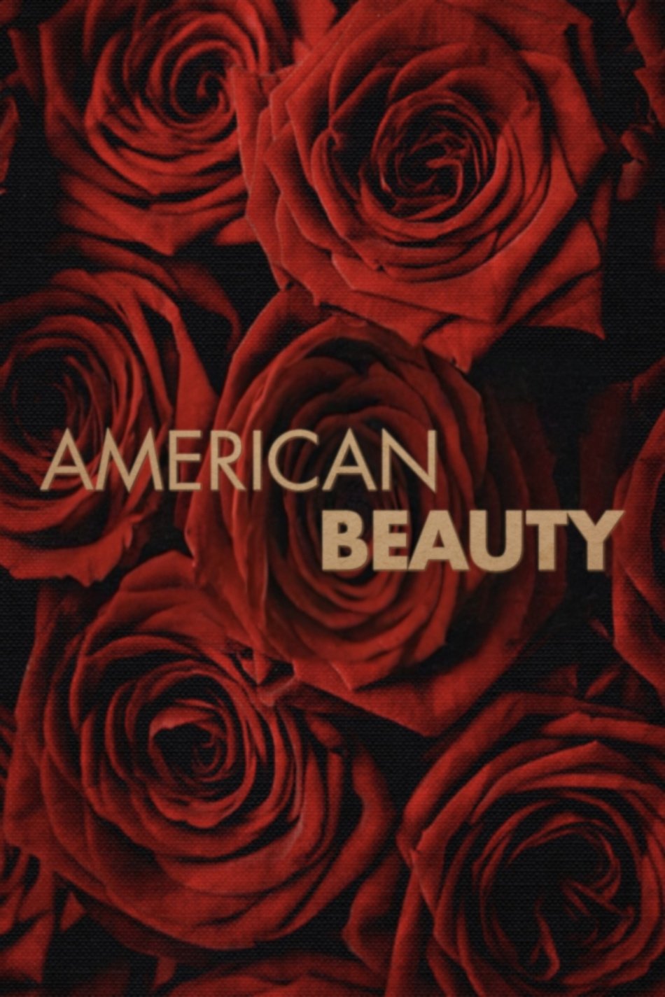 American Beauty