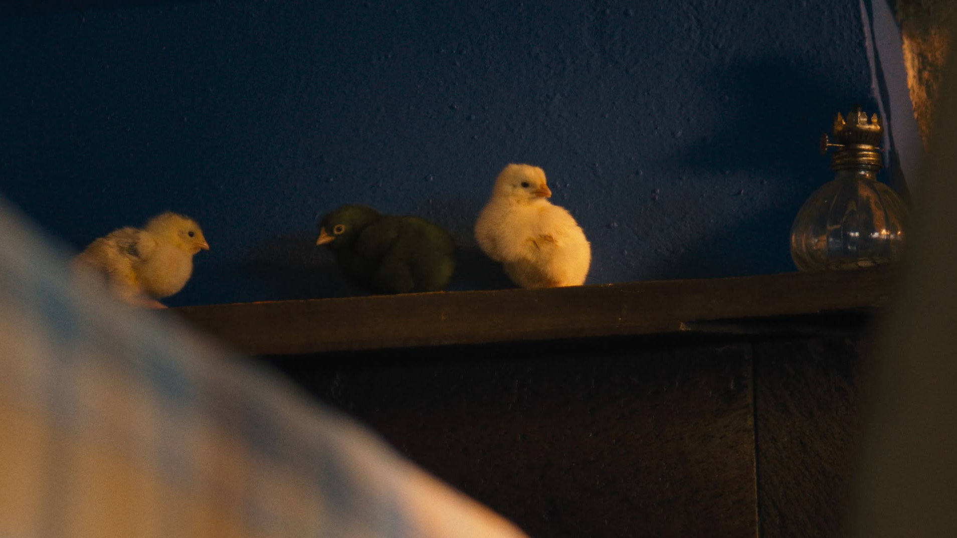 Hen (2026) — still 8