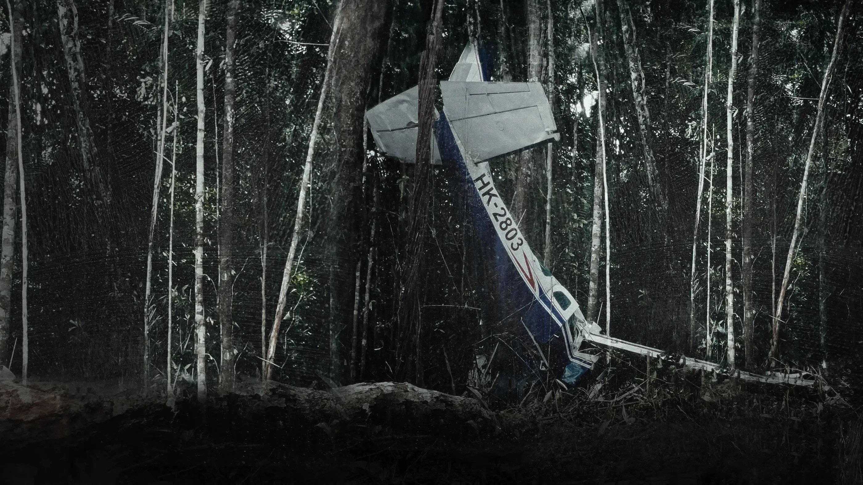 Imagem do Filme Perdidos en el Amazonas