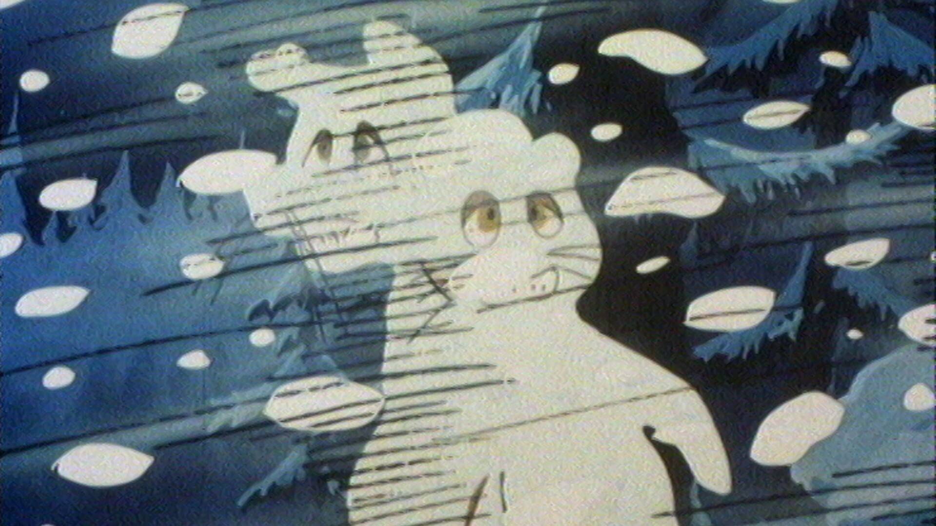 Tao Tao - Les douze mois