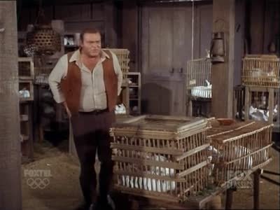 Bonanza