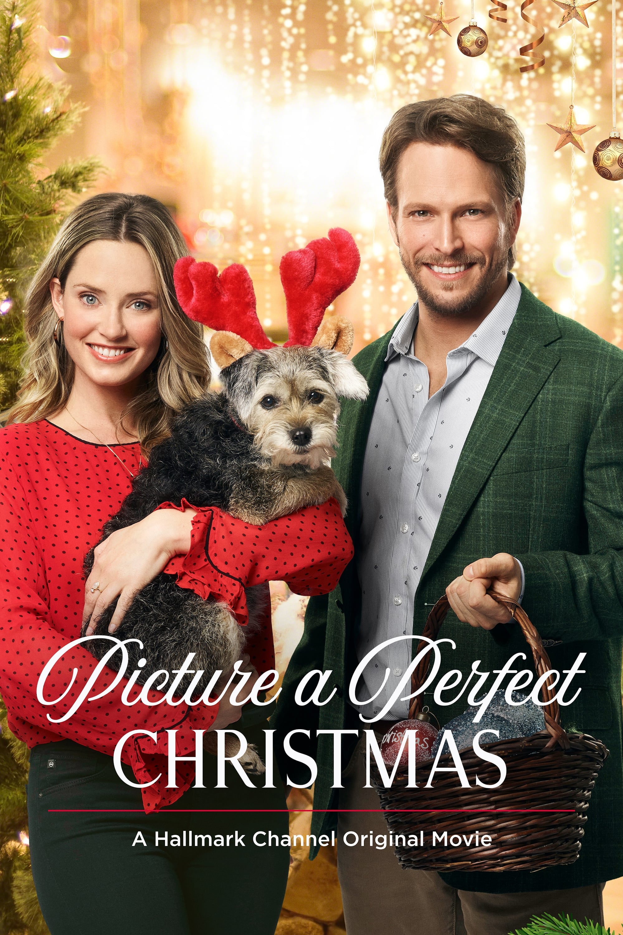 Picture a Perfect Christmas streaming