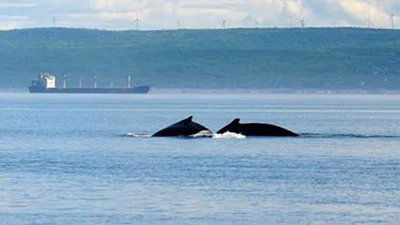Les parcs nationaux canadiens - Saguenay-Saint-Laurent