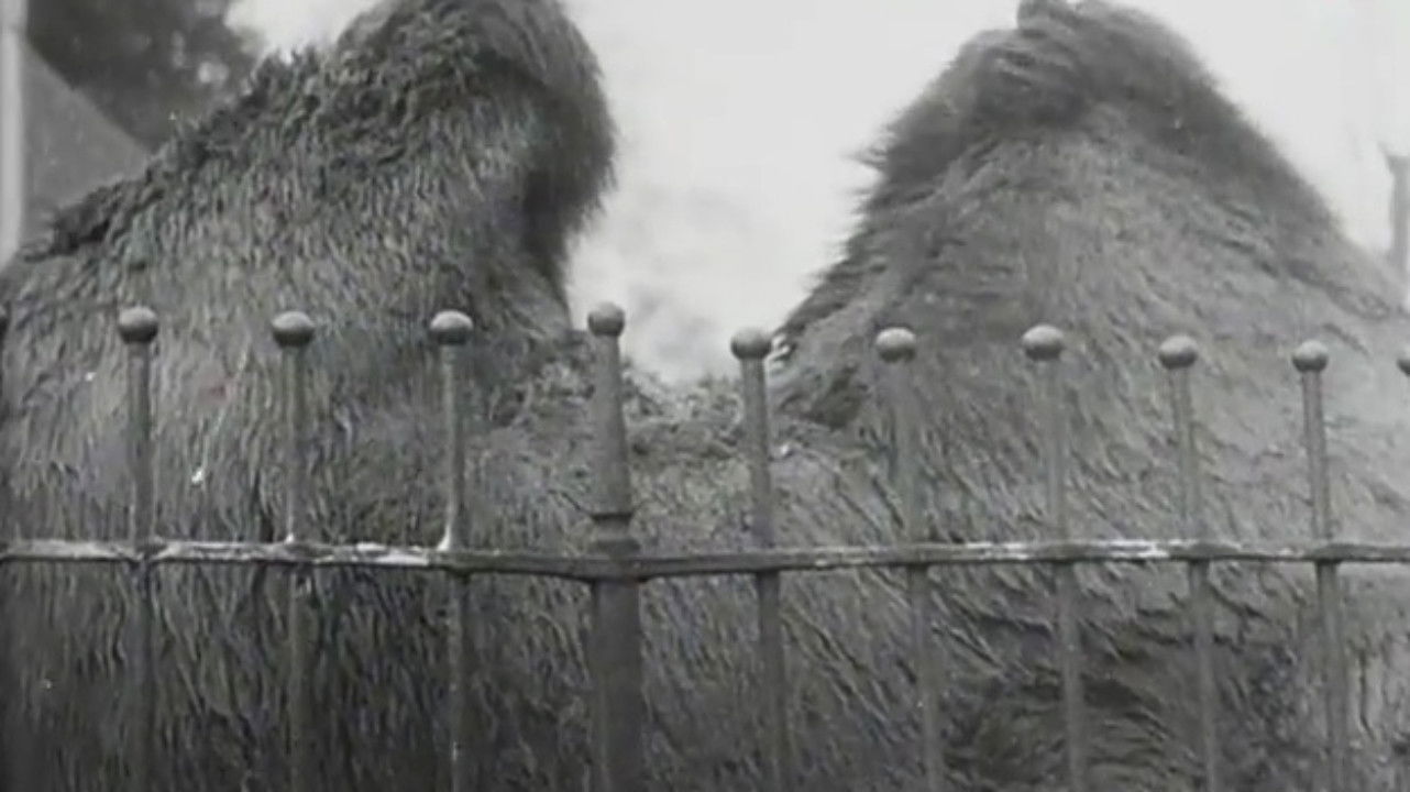 Imagem do Filme Our Advice This Festive Season