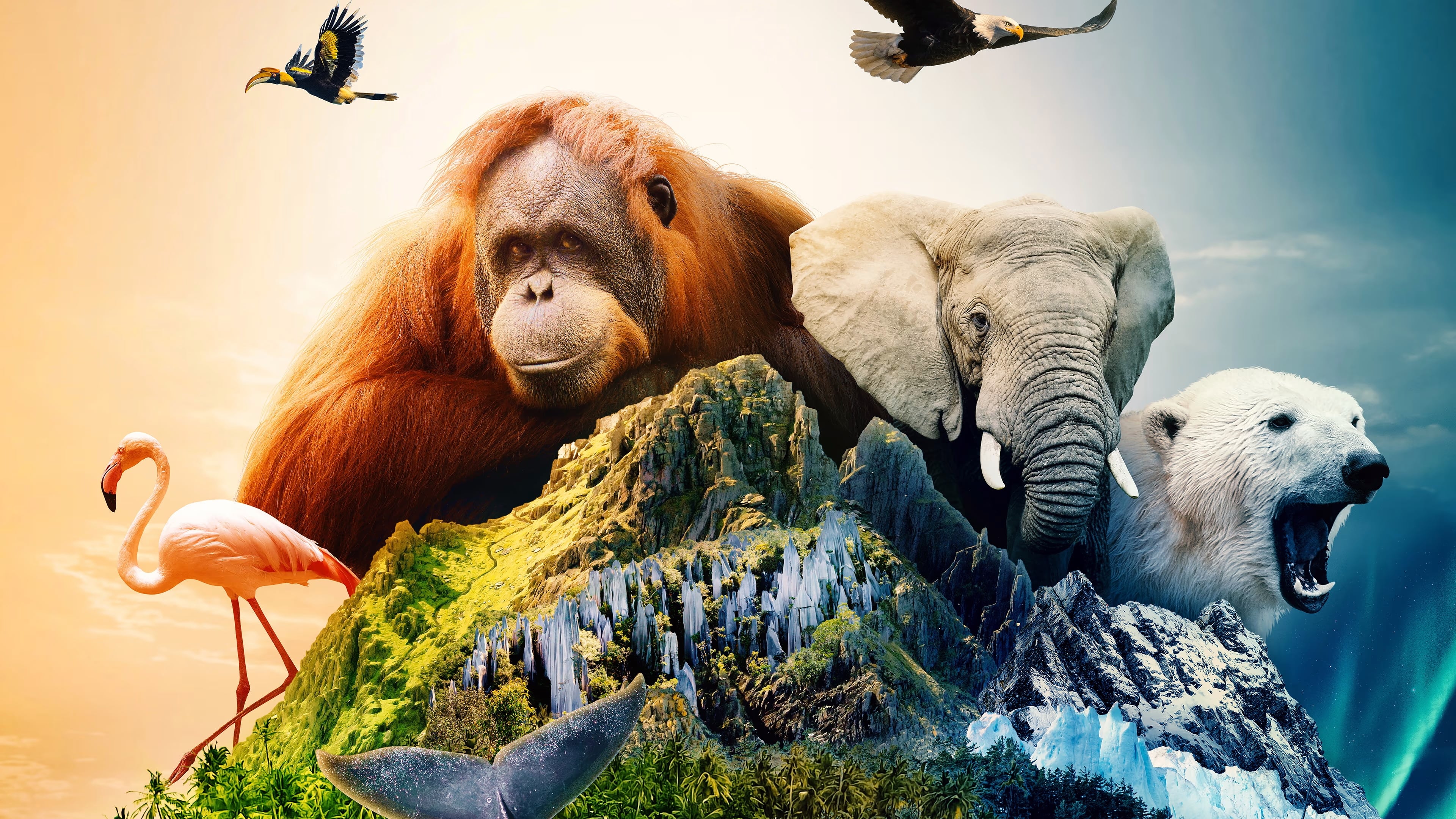 Islands: Die wilden Labore der Natur