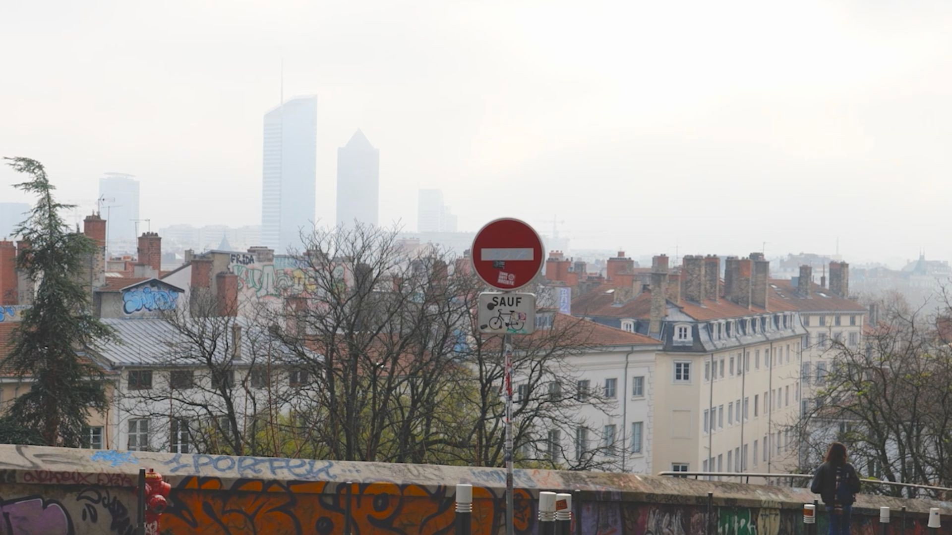 Madame plutar Backdrop Blur