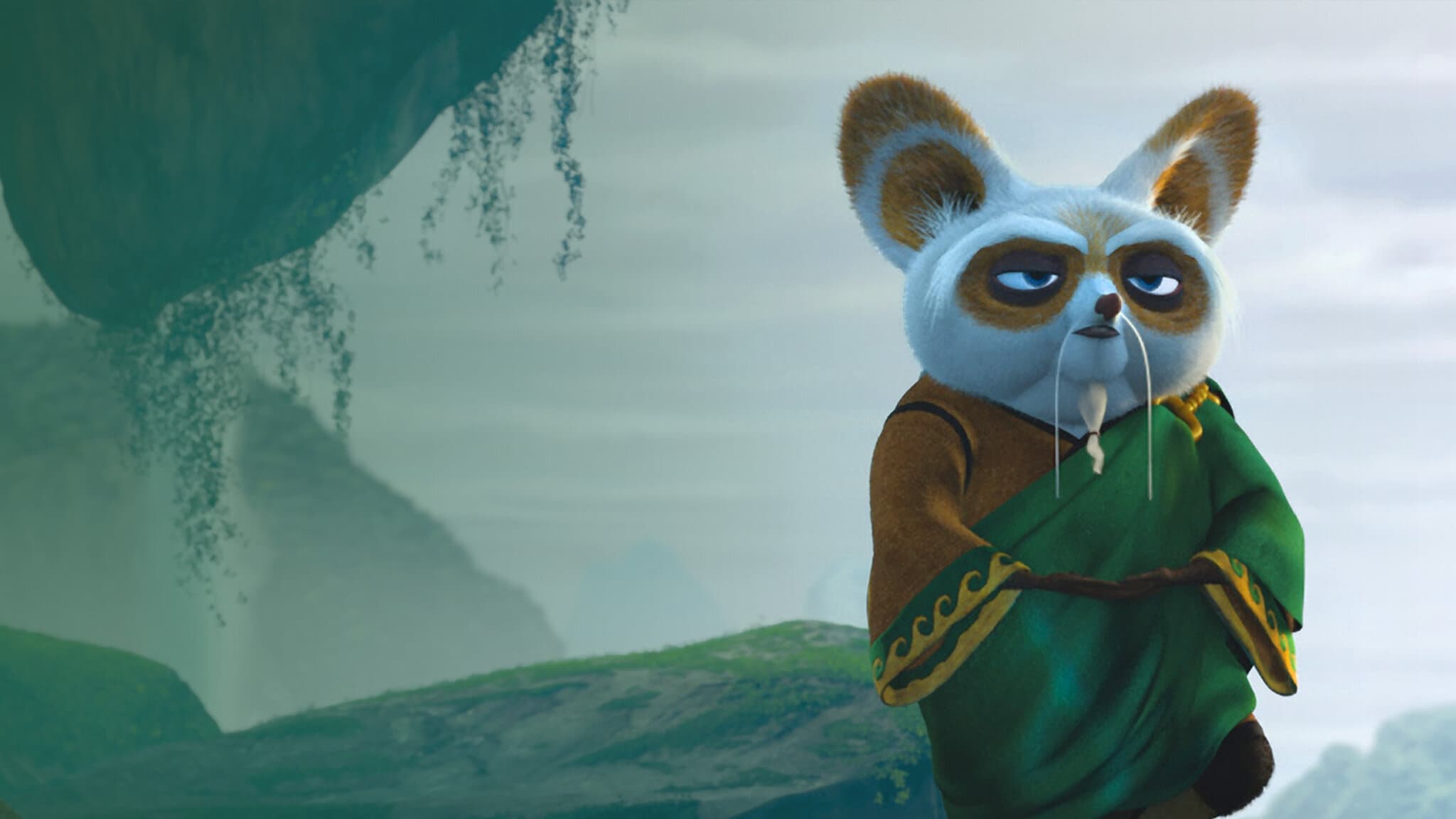 Kung Fu Panda 2 (2011)