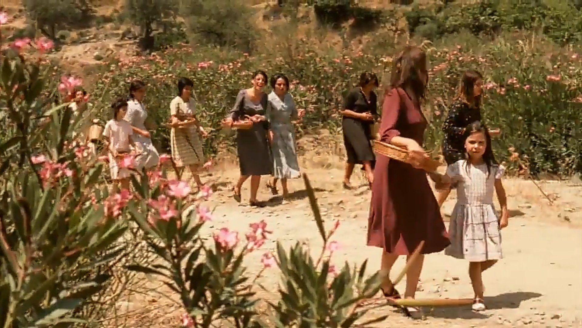 O Padrinho (1972)
