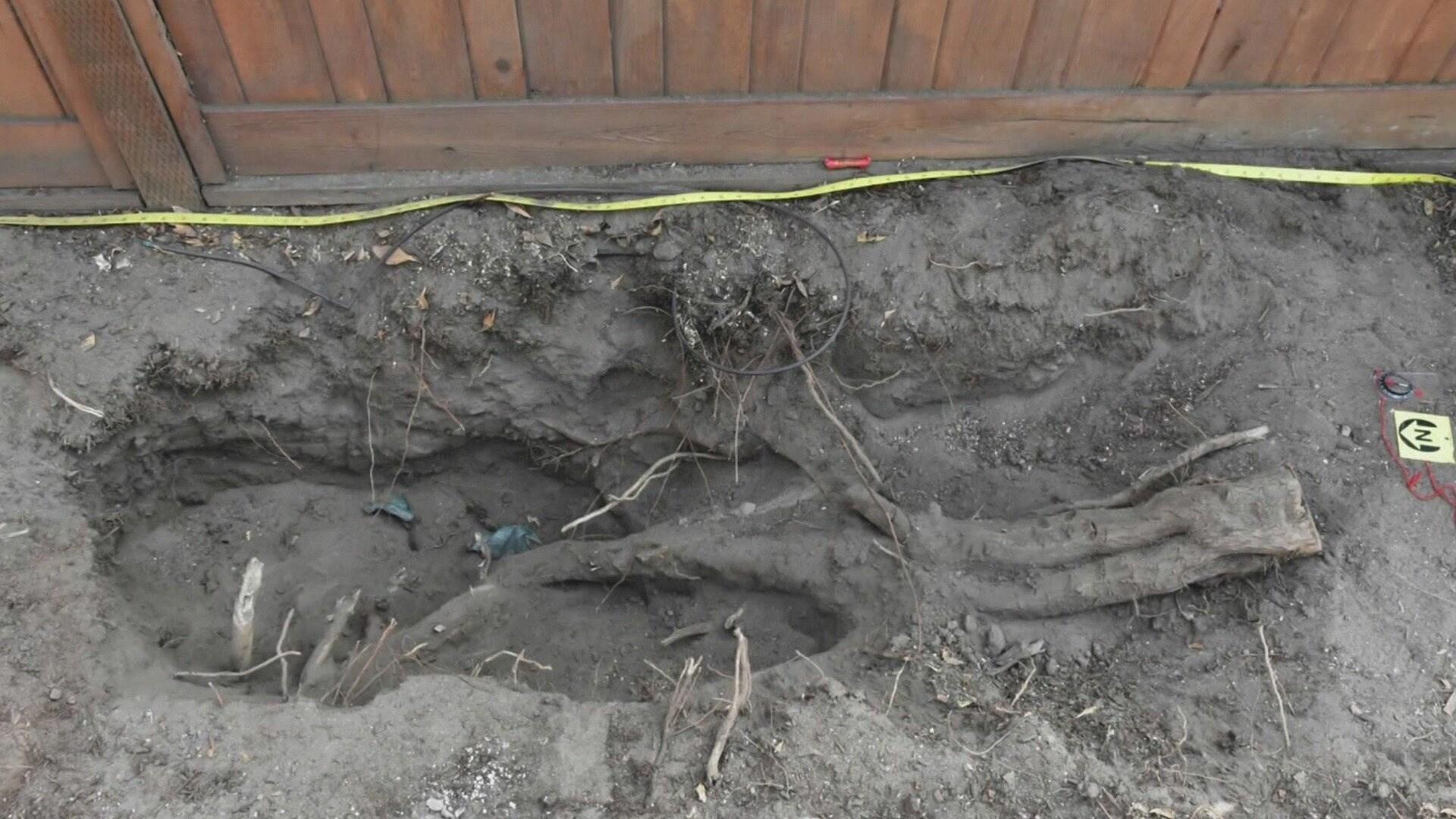 Buried In The Backyard