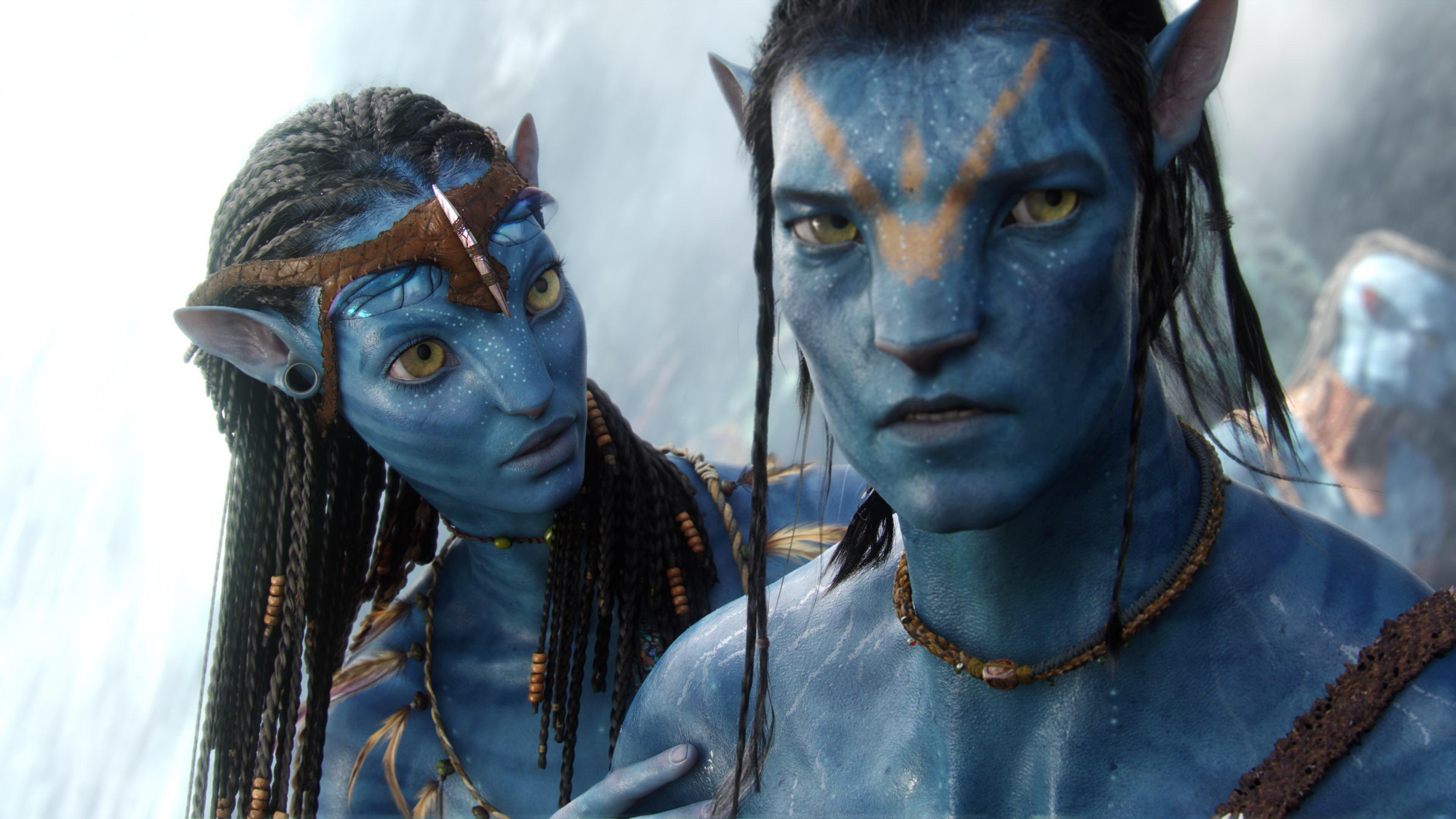 Capturing Avatar (2010)