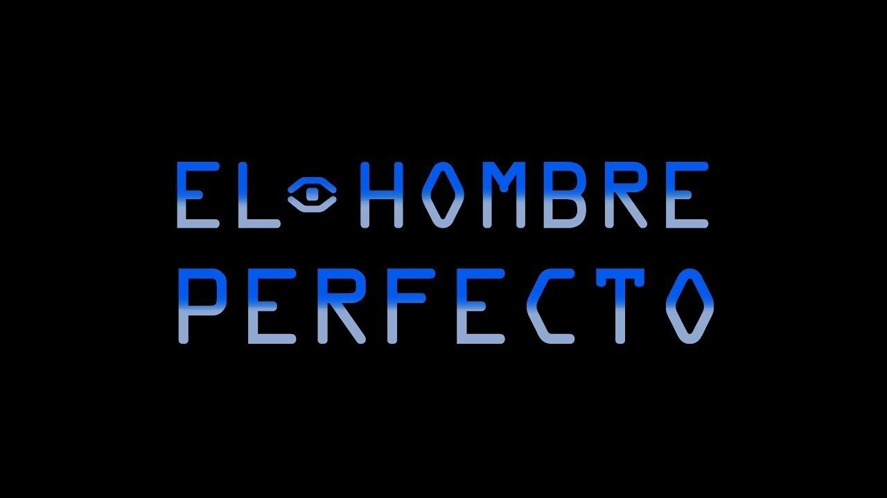 The Perfect Man (2019)