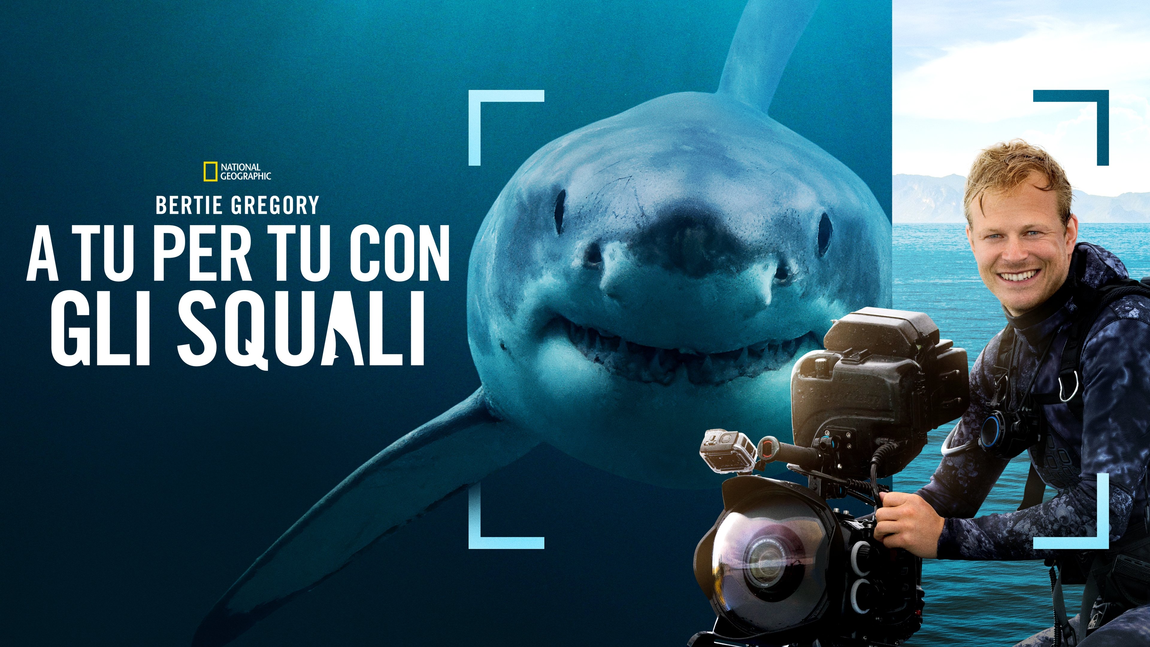 Sharks Up Close with Bertie Gregory backdrop