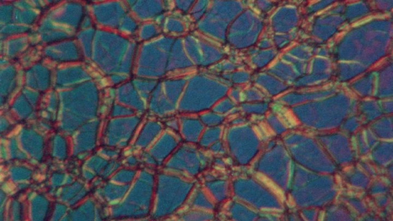 Liquid Crystals (1978)