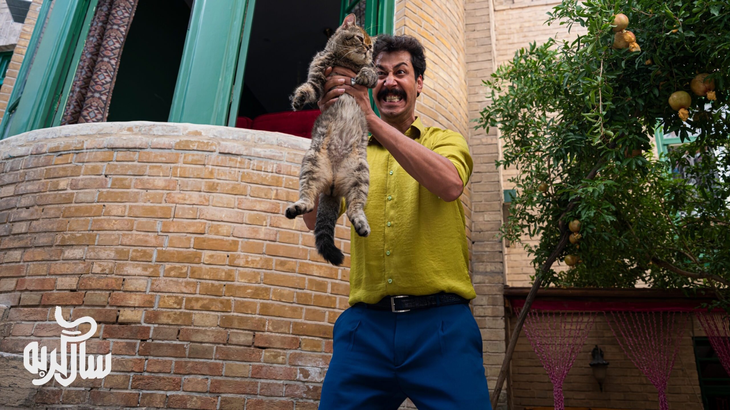 The Year of Cat (2024)