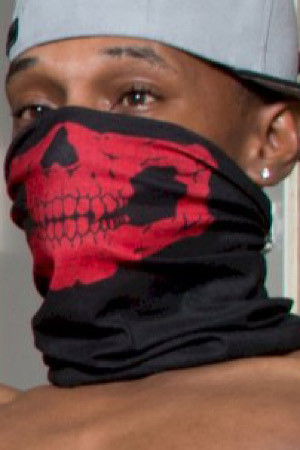 et billede af Long Stroke Dingo