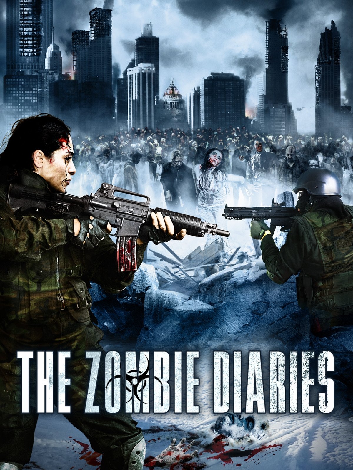 The Zombie Diaries