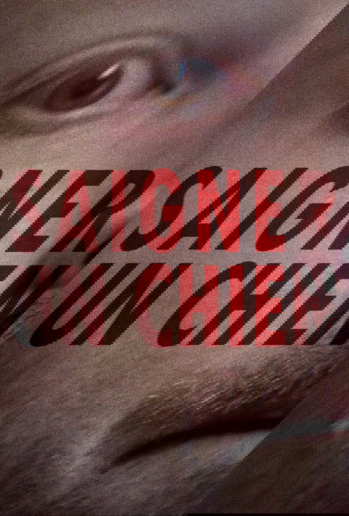 Bleeding a Dog