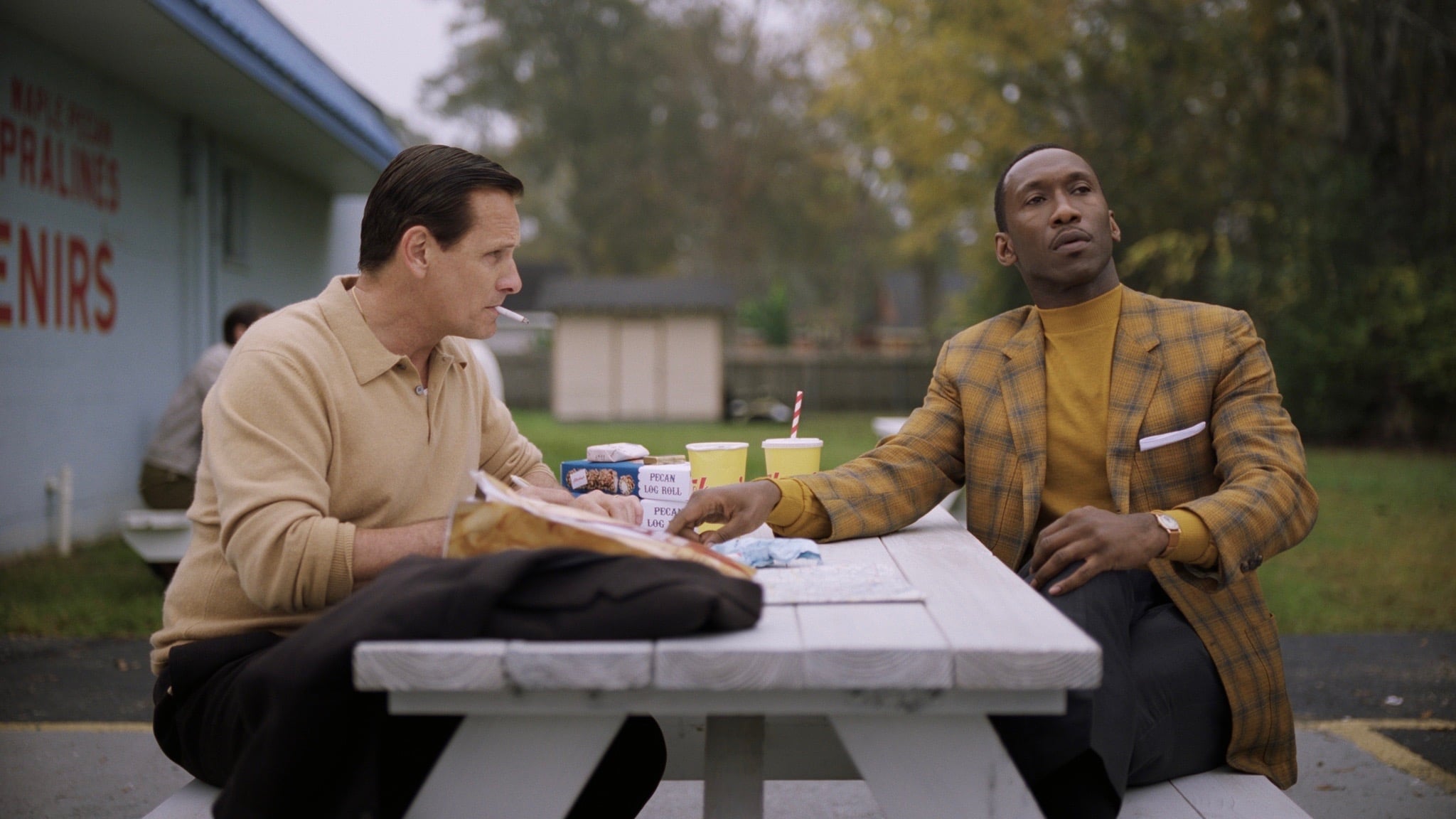 Green Book : Sur les routes du Sud (2018)