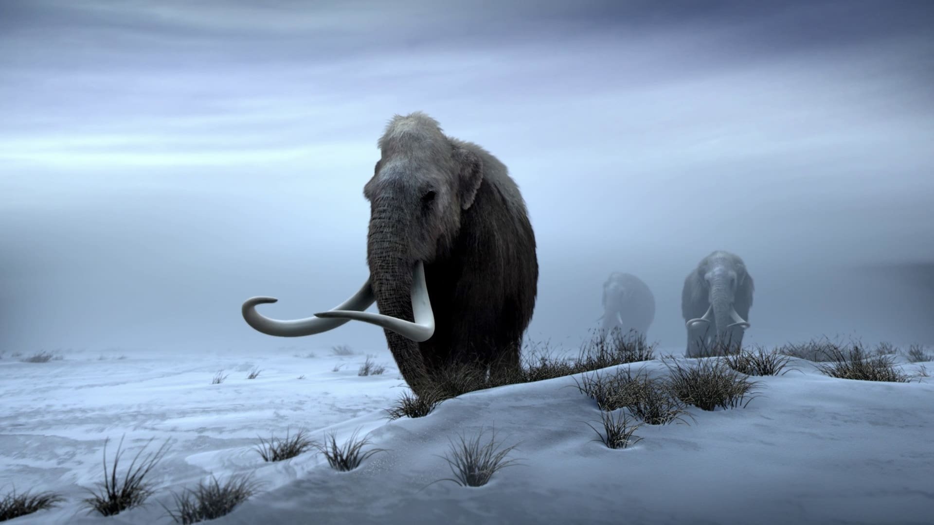 IMAX: Extreme Nature Collection - Titans de l'âge de glace