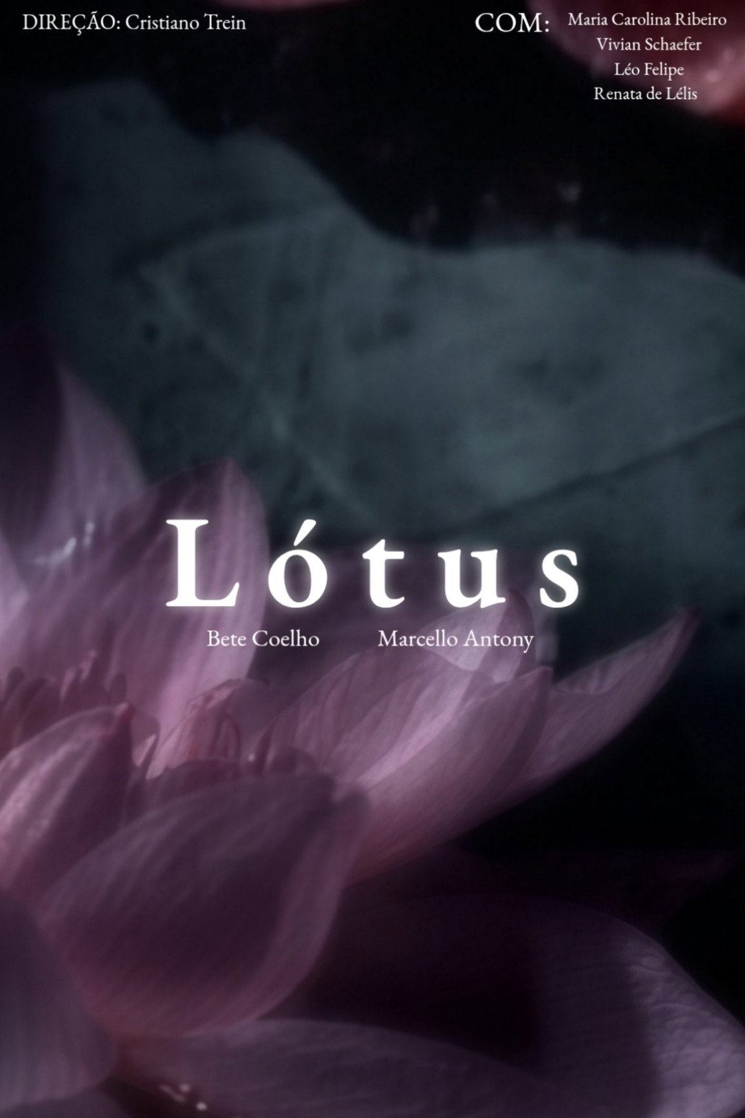 L&oacute;tus