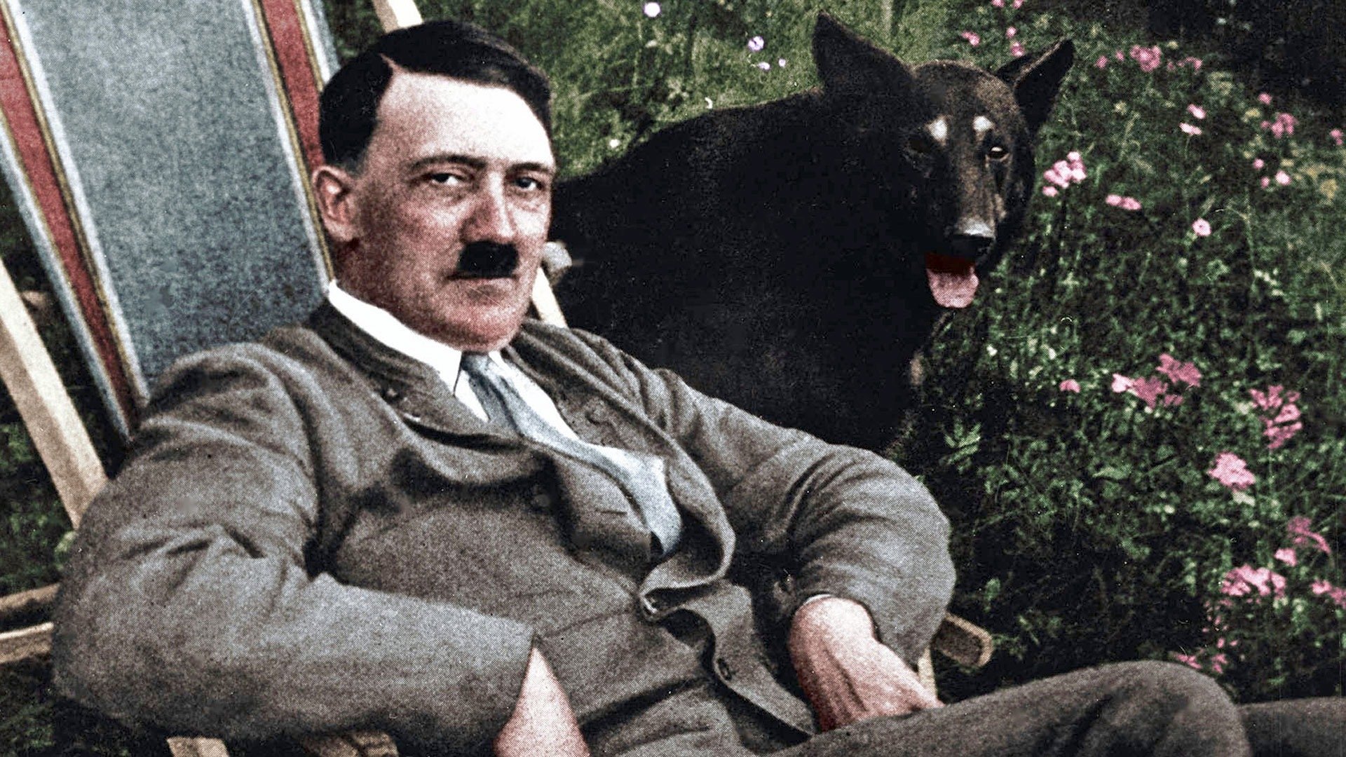 Hitler: The Rise and Fall