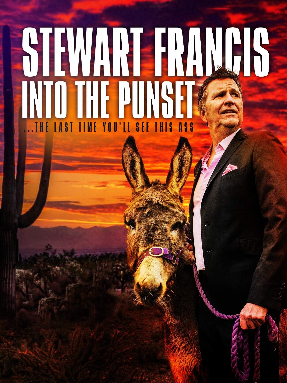 Stewart Francis: Into the Punset Stewart Francis: Into the Punset