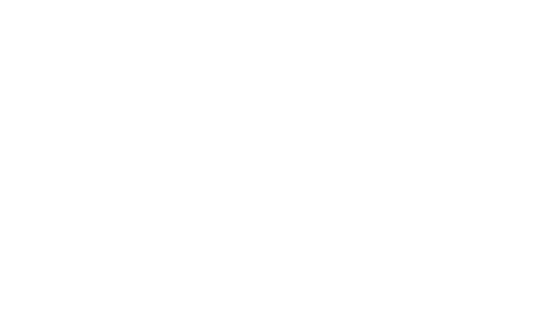 Summer 1993