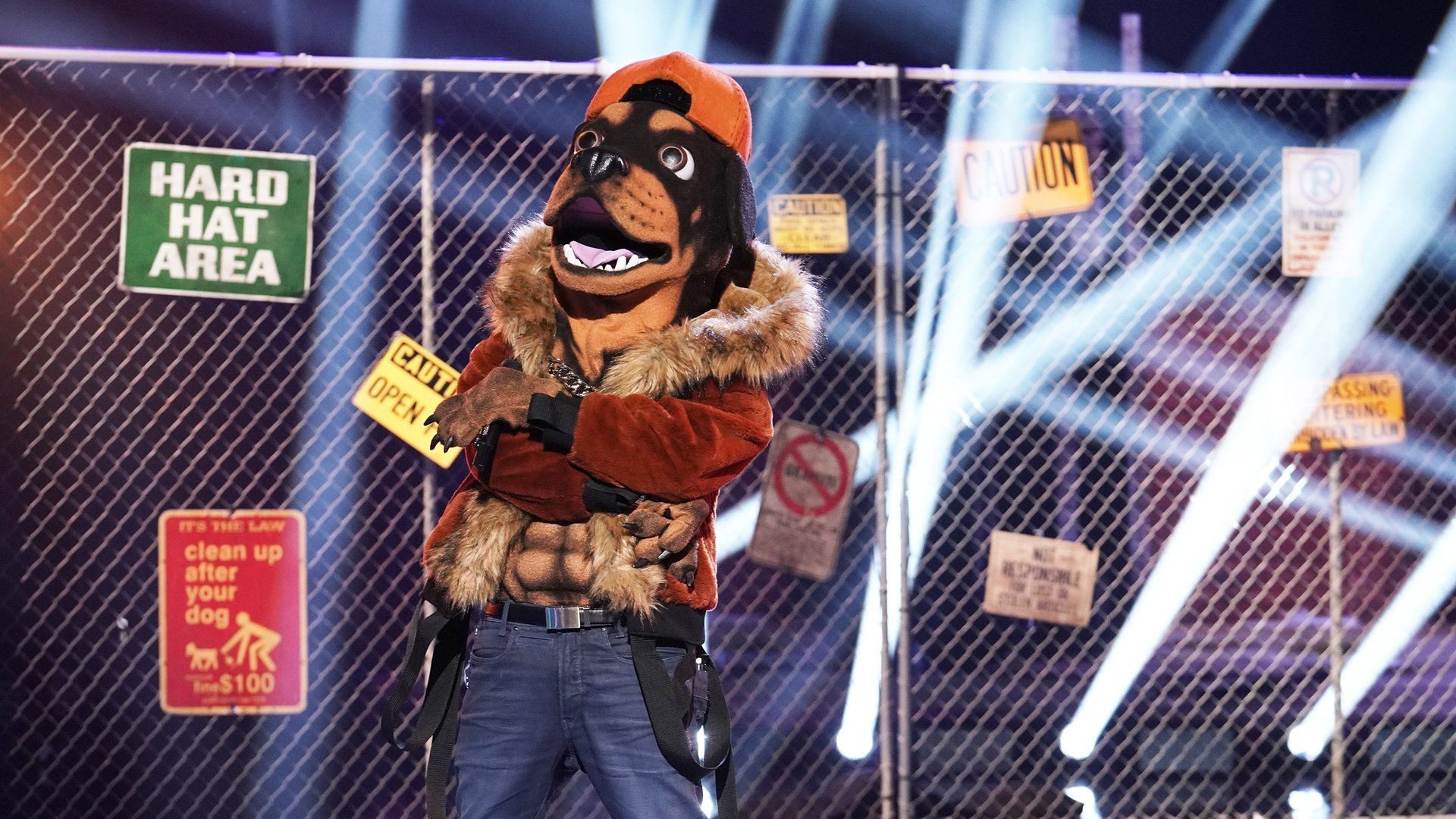 The Masked Singer Staffel 2 :Folge 1 