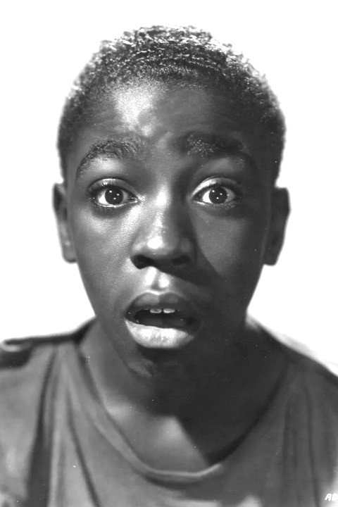 et billede af Paul White