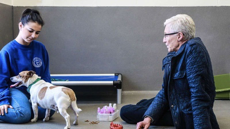 Paul O'Grady, pour l'amour des chiens - Épisode 2