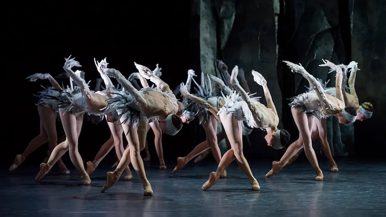Lac after Swan Lake (2014)