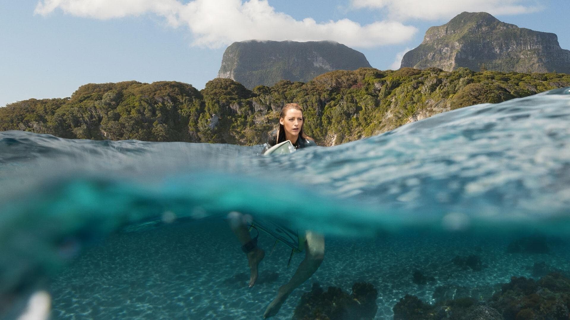 The Shallows (2016)