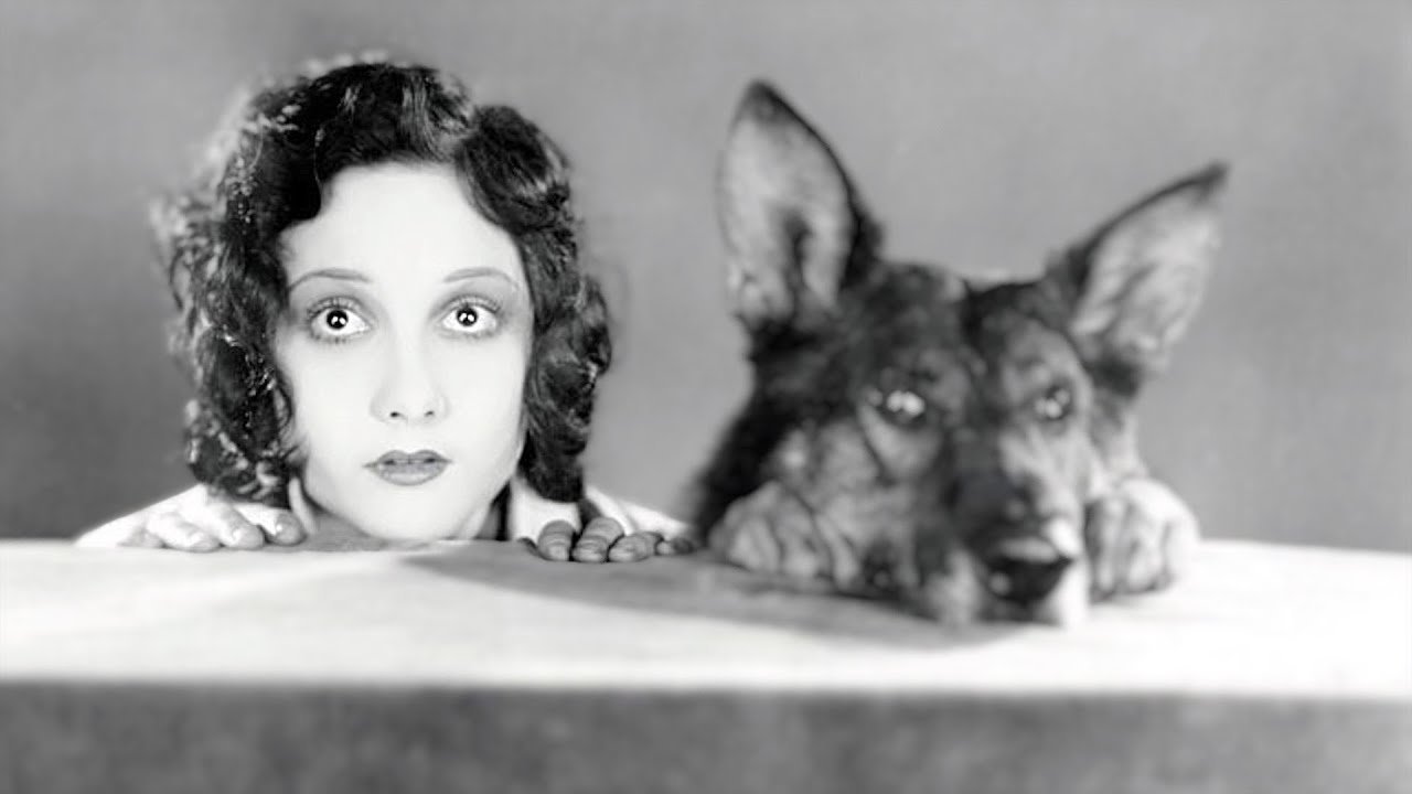 Where the North Begins (1923)