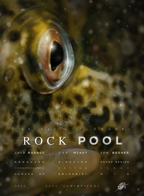 ROCK POOL