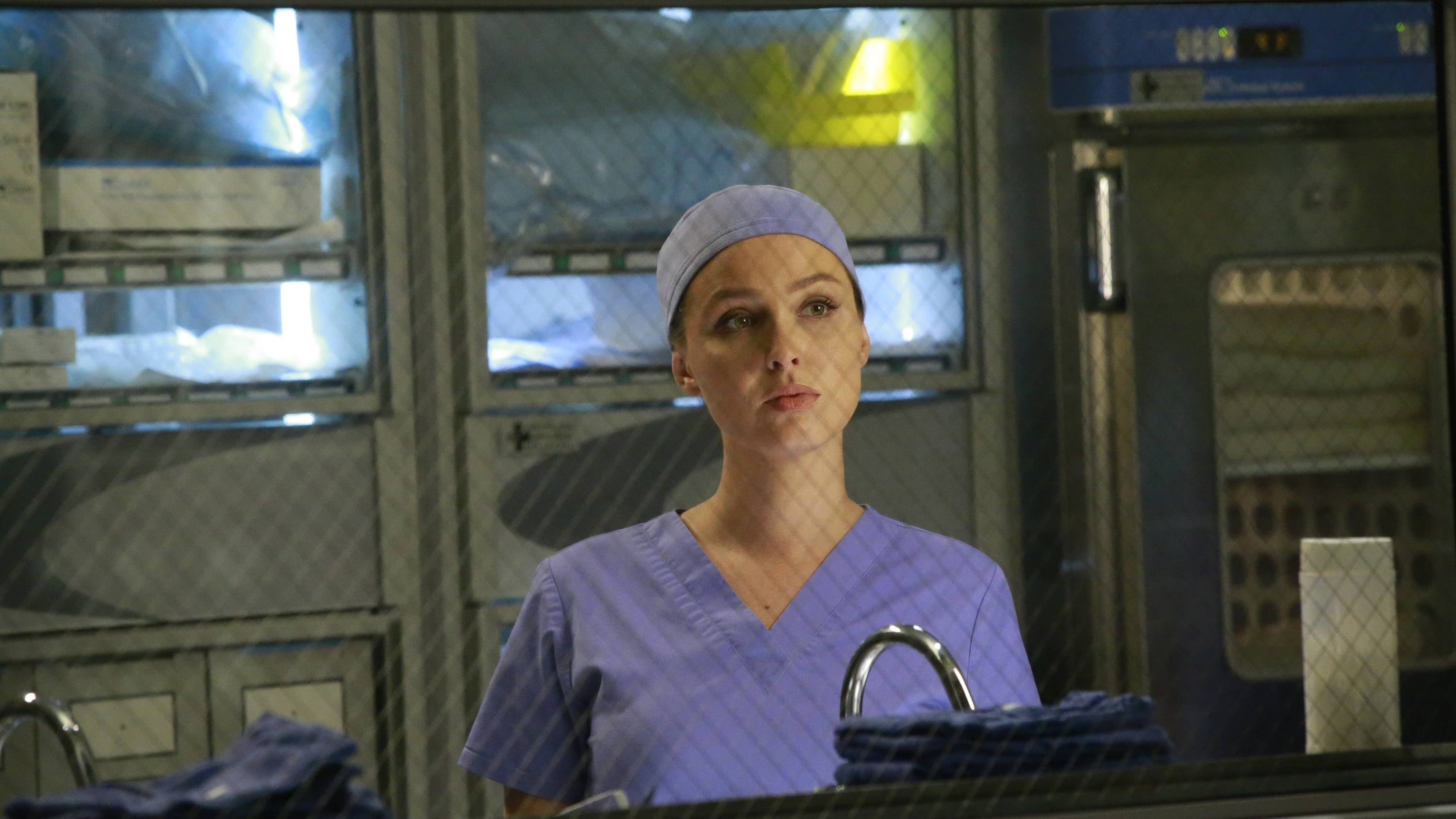 Grey's Anatomy Staffel 12 :Folge 10 