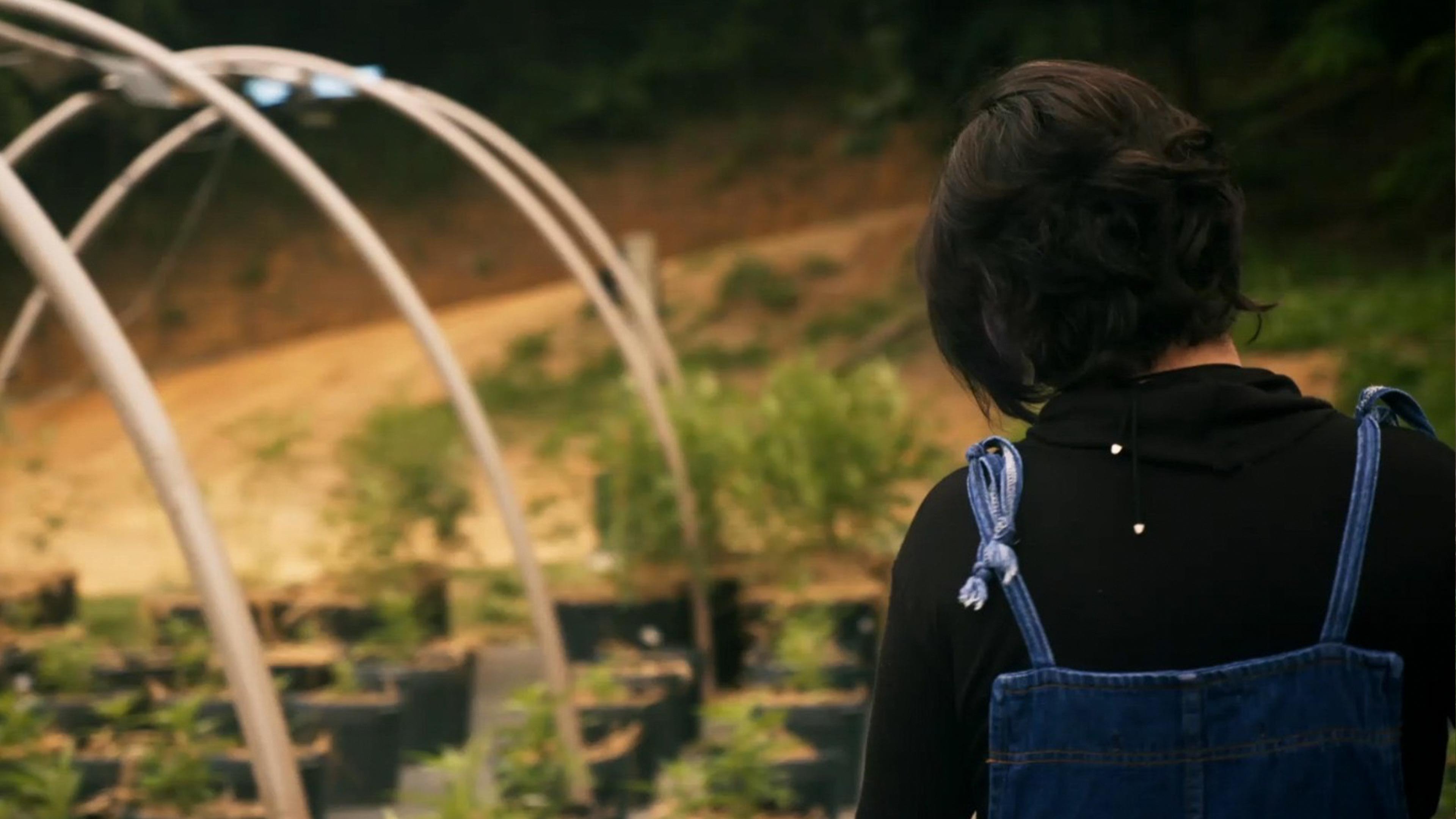 Imagem do Filme O Outro Mundo de Sofia