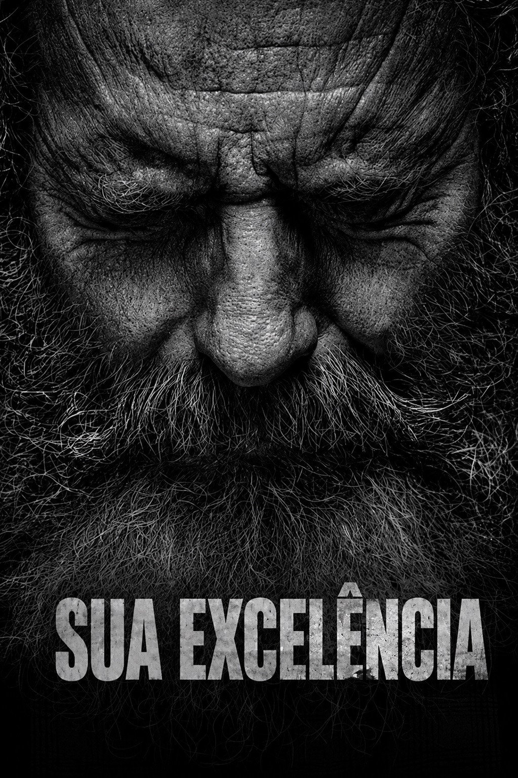 Sua Excelência