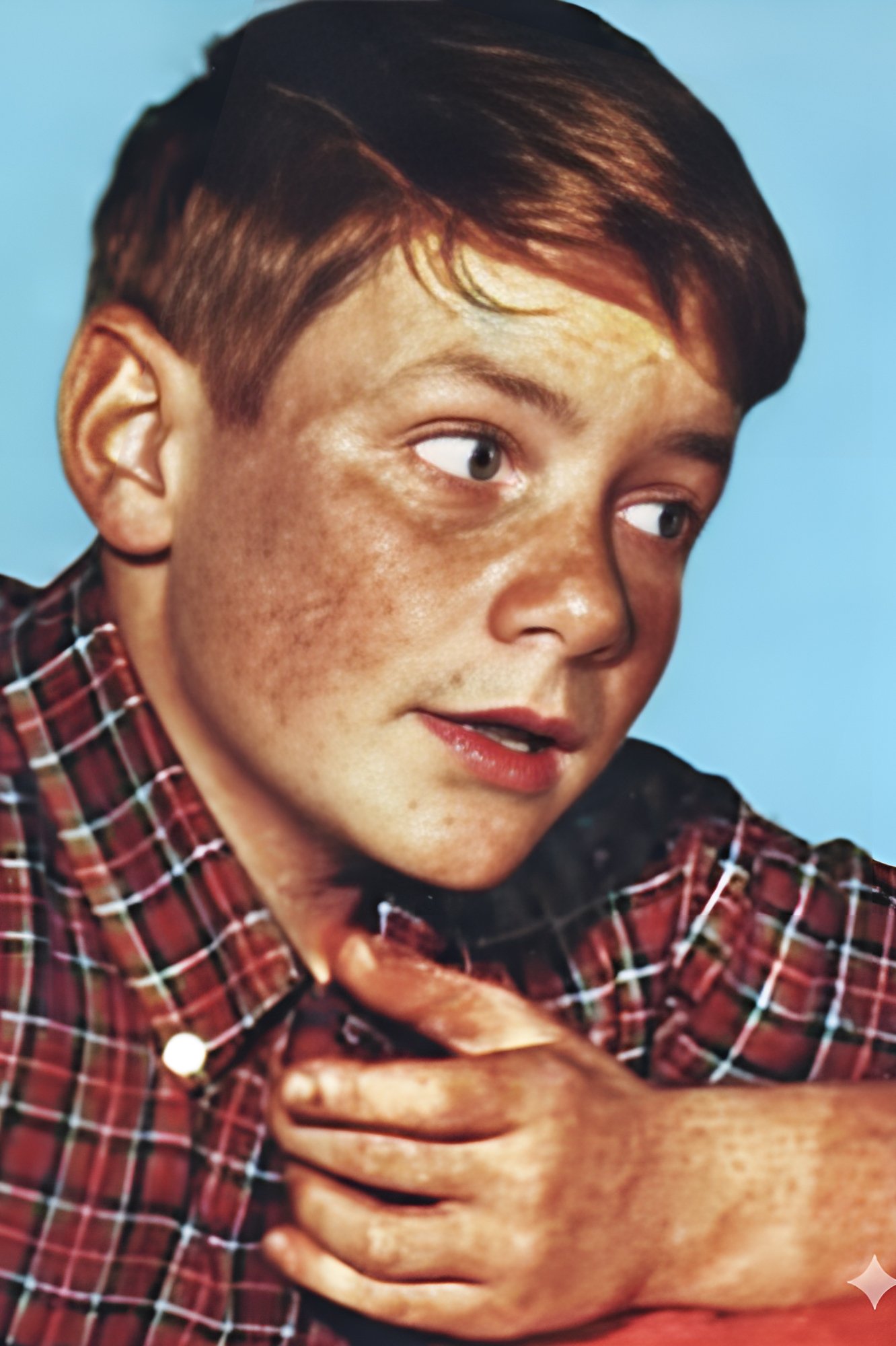 et billede af Flip Mark