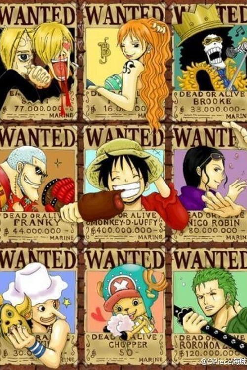 草帽海贼团日志 Poster