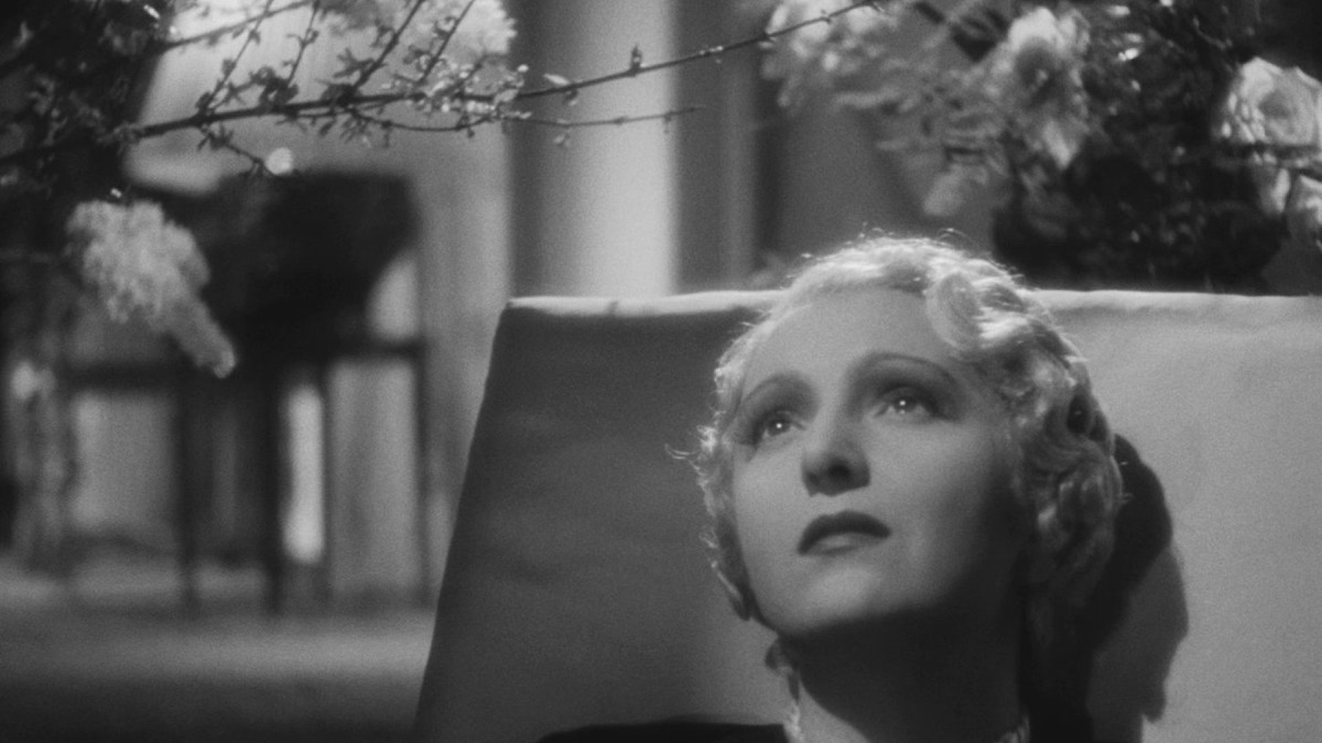 Life Dances On (1937)