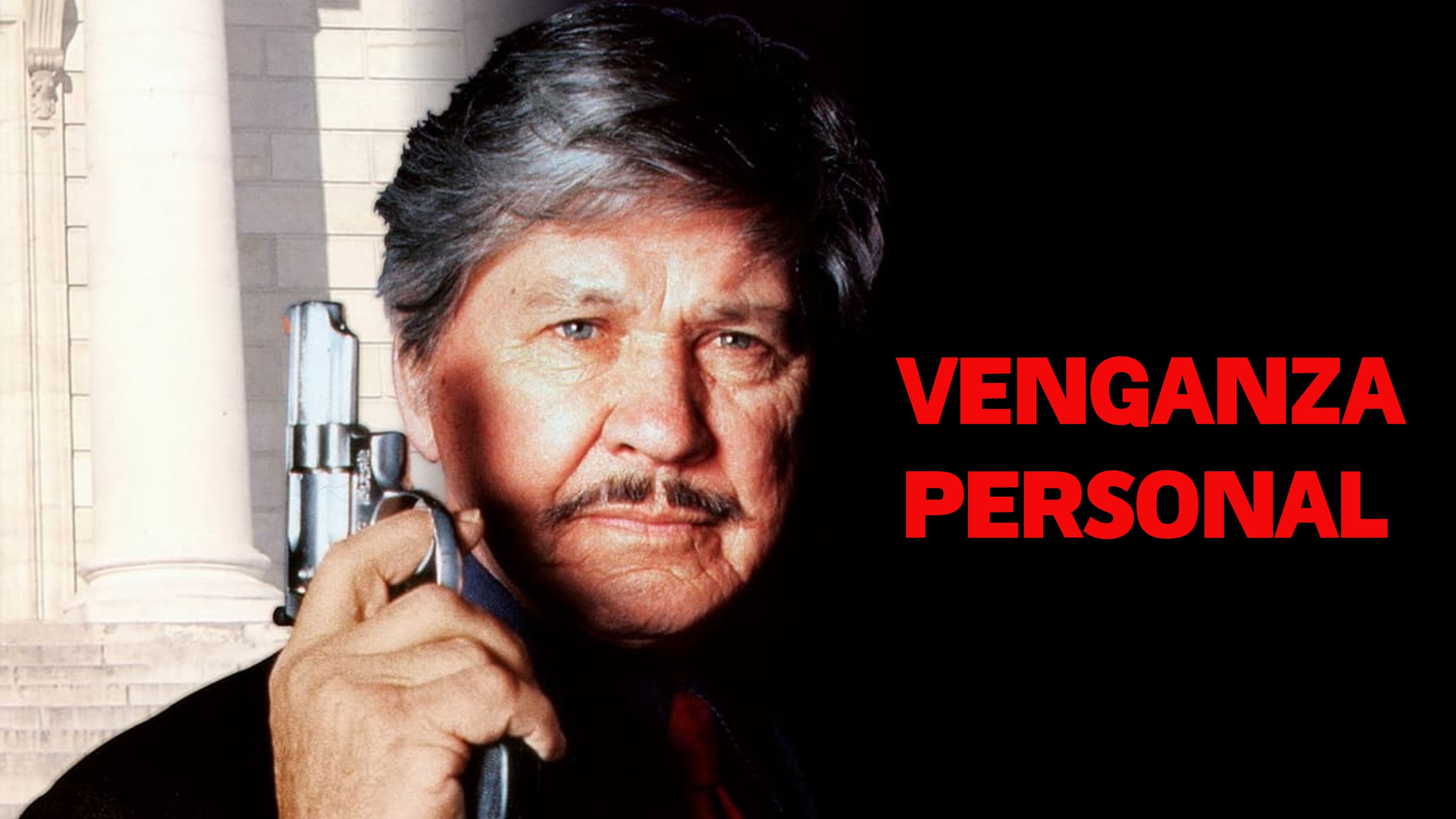 Death Wish V: The Face of Death (1994)