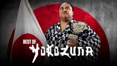 The Best of WWE - Épisode 49