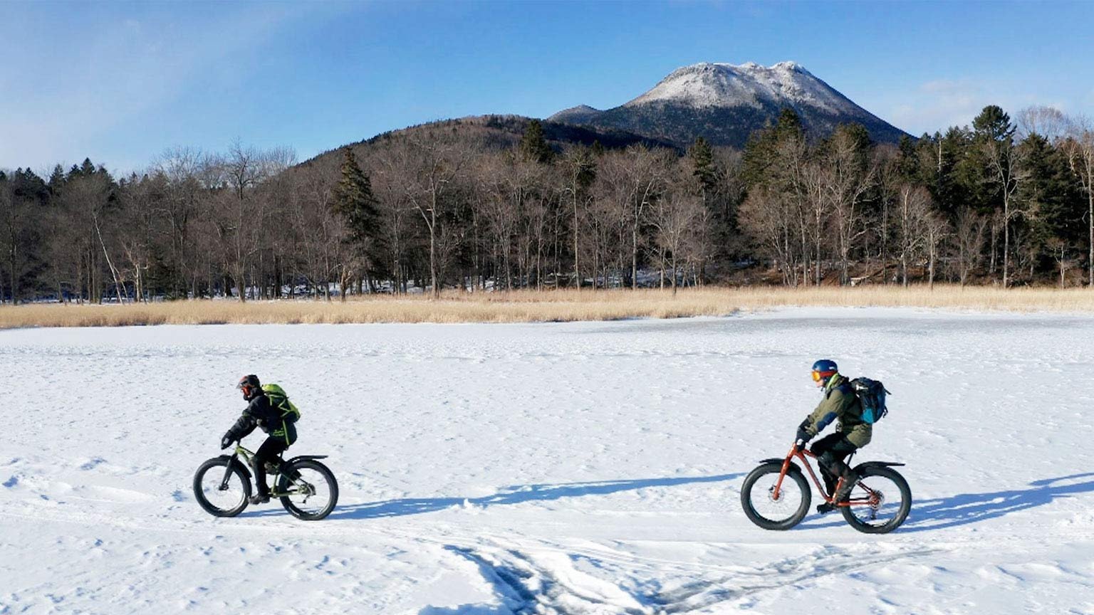 Wild Hokkaido!