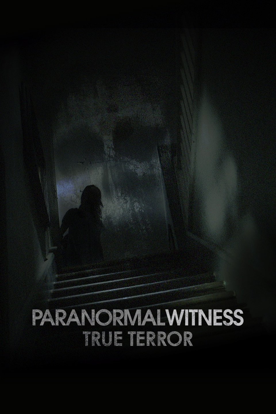 Paranormal Witness