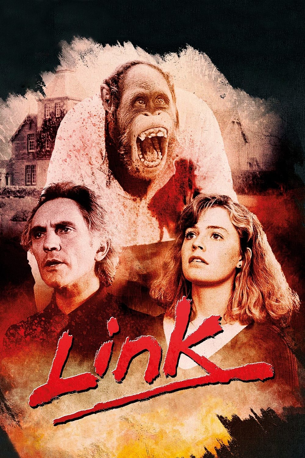 Link