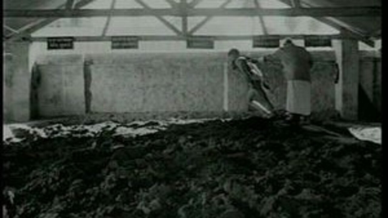 Imagem do Filme Matti Ke Lal, fils de la terre